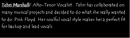 Text Box: Tehri Marshall/ Alto-Tenor Vocalist . Tehri has collaborated on many musical projects and decided to do what she really wanted to do: Pink Floyd. Her soulful vocal style makes her a perfect fit for backup and lead vocals. 